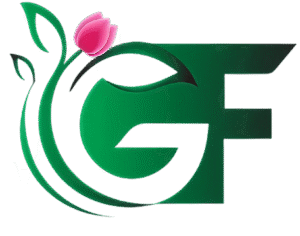 515548424 1286088826559984 3145084036852168227 n 1 1