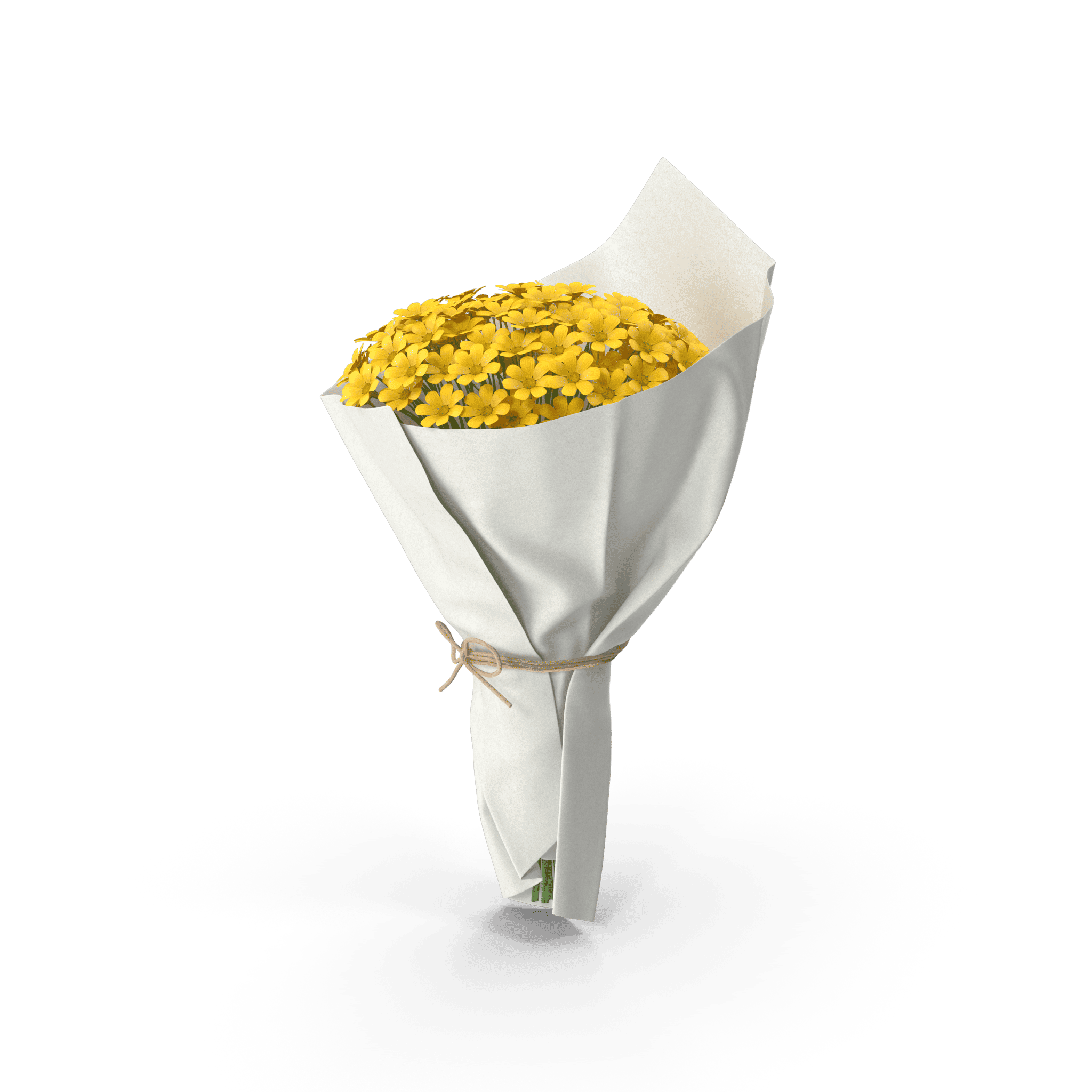 daisy bouquet.h03.2k