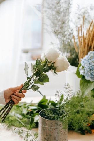 pexels teona swift 6913086