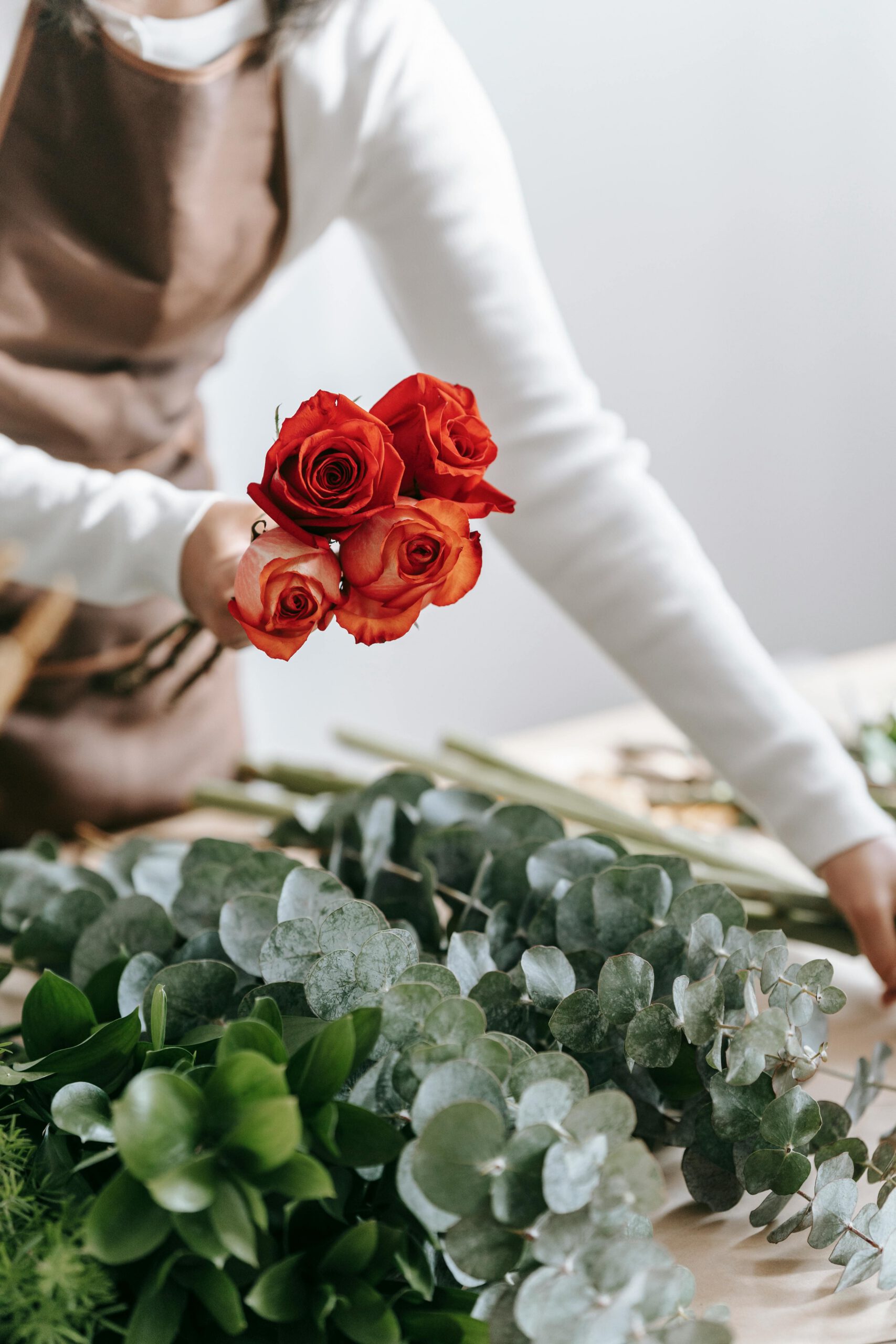 pexels teona swift 6913732