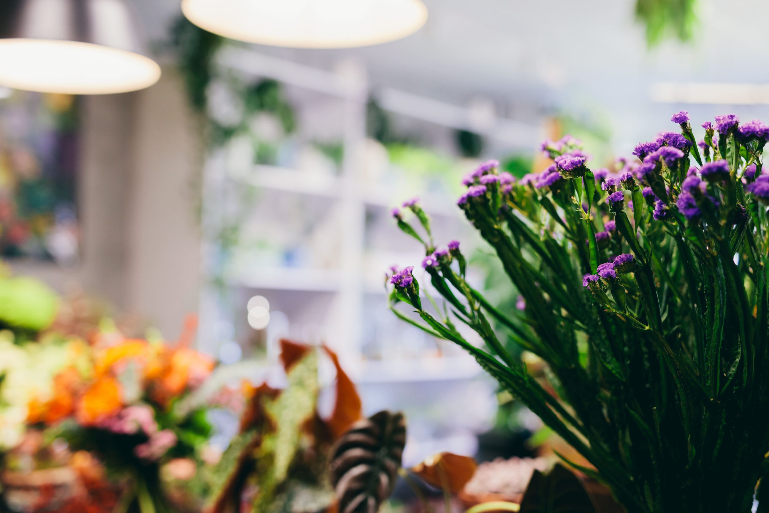 sprig flowers on the counter of flower shop 2025 04 03 04 58 36 utc